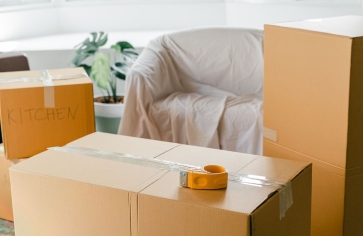 The Importance of Insurance When Hiring Packers and Movers in Noida